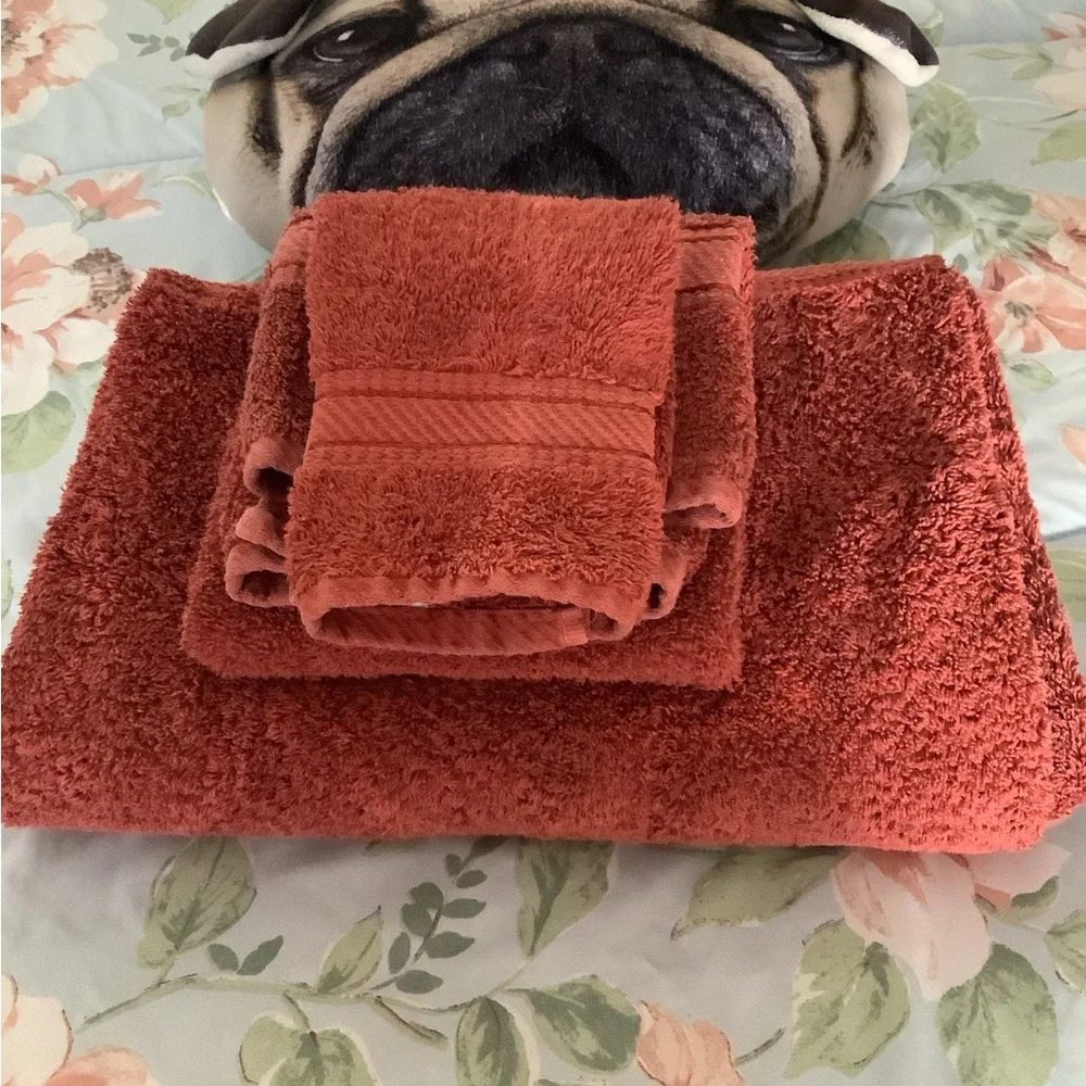 Towel set by Spring made 3 piece Rust Egyptian cotton. In excellent con…